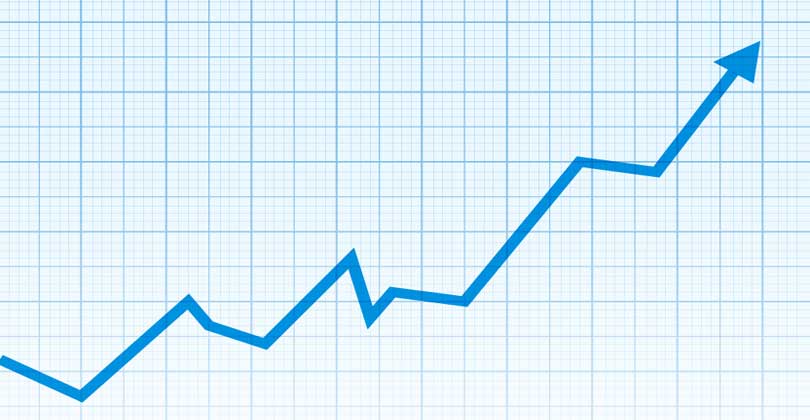 ゴルゴンゾーラの生産は2016年度も増加を記録 今後4年間も成長の見込み