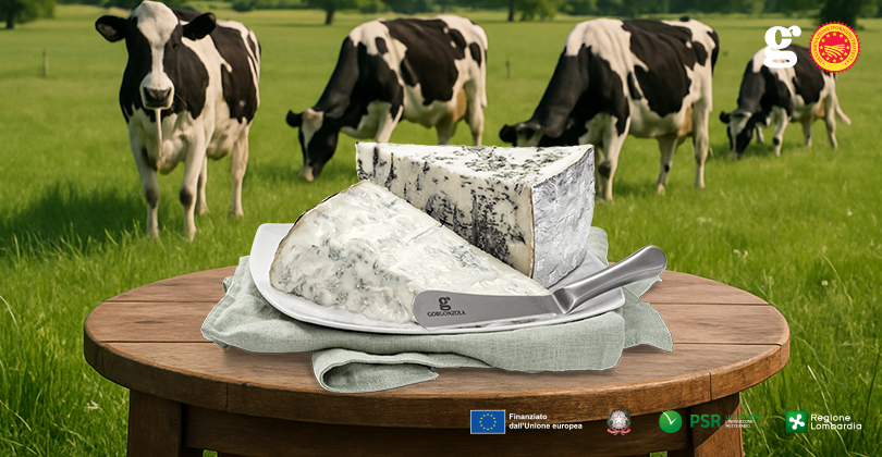 チーズ観光　新たなトレンドの探求